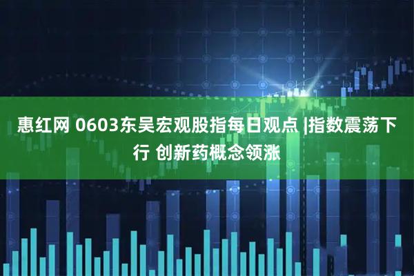 惠红网 0603东吴宏观股指每日观点 |指数震荡下行 创新药概念领涨