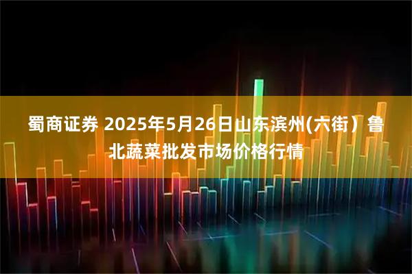 蜀商证券 2025年5月26日山东滨州(六街）鲁北蔬菜批发市场价格行情