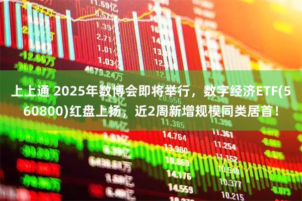 上上通 2025年数博会即将举行,数字经济ETF(560800)红盘上扬,近2周新增规模同类居首!